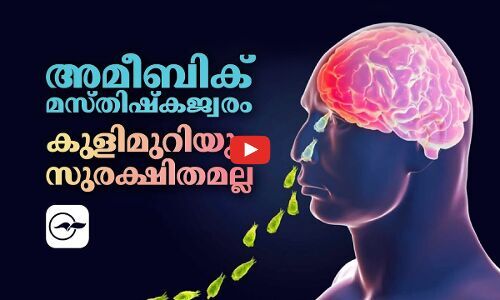 അമീബിക് മസ്തിഷ്കജ്വരം; കുളിമുറിയും സുരക്ഷിതമല്ല