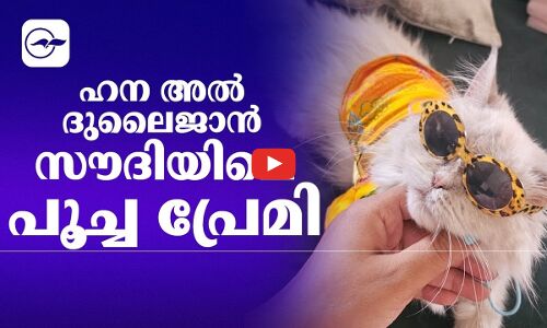 ഹന അൽ ദുലൈജാ​ൻ; സൗദിയിലെ പൂച്ച പ്രേമി