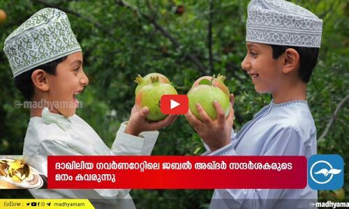 സന്ദർശകരുടെ മനം കവർന്ന് ജബൽ അഖ്ദർ; ജനുവരി മുതൽ എത്തിയത് 89,780 പേർ