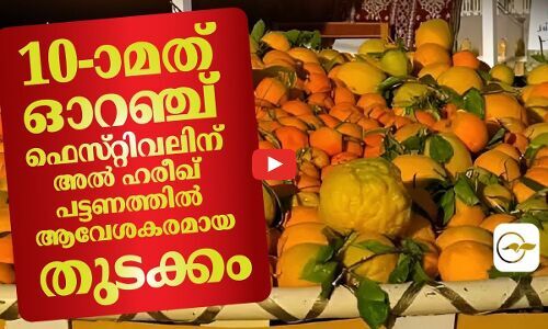 10-ാമത് ഓറഞ്ച് ഫെസ്​റ്റിവലിന് അൽ ഹരീഖ് പട്ടണത്തിൽ ആവേശകരമായ തുടക്കം