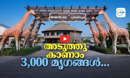 അടുത്തുകാണാം 3,000 മൃഗങ്ങൾ...