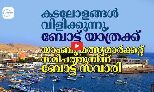 കടലോളങ്ങൾ വിളിക്കുന്നു, ബോട്ട്​ യാത്രക്ക്​​ യാംബു മത്സ്യമാർക്കറ്റ്​ സമീപത്തുനിന്ന്​ ബോട്ട് സവാരി
