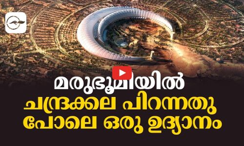 മരുഭൂമിയിൽ ചന്ദ്രക്കല പിറന്നതു പോലെ ഒരു ഉദ്യാനം