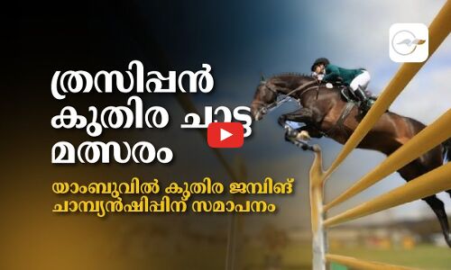 ത്രസിപ്പൻ കുതിര ചാട്ട മത്സരം;  യാംബുവിൽ കുതിര ജമ്പിങ്​ ചാമ്പ്യൻഷിപ്പിന്​ സമാപനം