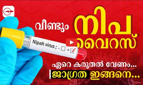 വീണ്ടും നിപ വൈറസ്; ഏറെ കരുതൽ വേണം..ജാഗ്രത ഇങ്ങനെ..