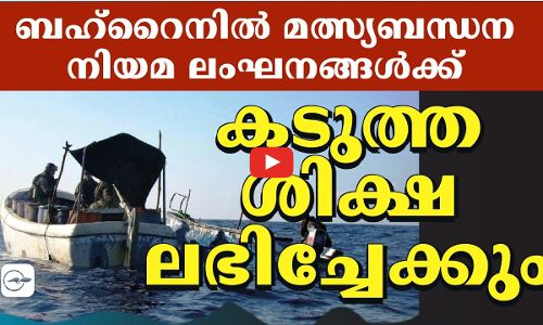 ബഹ്റൈനിൽ മത്സ്യബന്ധന നിയമ ലംഘനങ്ങൾക്ക് കടുത്ത ശിക്ഷ ലഭിച്ചേക്കും