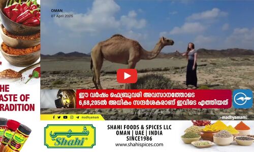 രാജ്യത്തേക്ക് മയക്കുമരുന്നുമായെത്തിയ മൂന്ന് യമനികളെ അറസ്റ്റ് ചെയ്തു