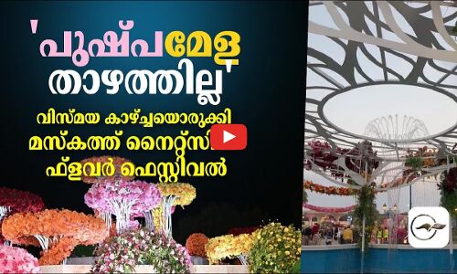 പുഷ്പമേള താഴത്തില്ല; വിസ്മയ കാഴ്ച്ചയൊരുക്കി മസ്‌കത്ത് നൈറ്റ്‌സിൽ ഫ്‌ളവർ ഫെസ്റ്റിവൽ