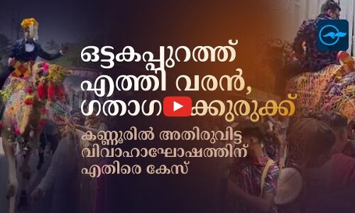 ഒട്ടകപ്പുറത്തെത്തി വരന്‍, ഗതാഗതക്കുരുക്ക്; കണ്ണൂരിൽ അതിരുവിട്ട വിവാഹാഘോഷത്തിനെതിരെ കേസ്