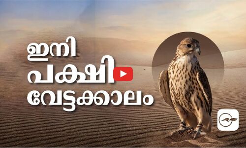 ഇനി പക്ഷിവേട്ടക്കാലം