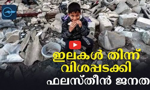ഇലകൾ തിന്ന് വിശപ്പടക്കി ഫലസ്തീൻ ജനത