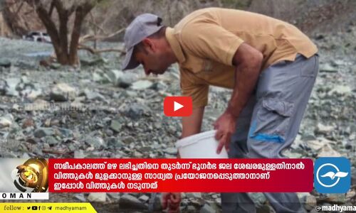 വിവിധ ഗവർണറേറ്റുകളിലായി ലക്ഷക്കണക്കിന് വിത്തുകൾ നട്ട് പരിസ്ഥിതി അതോറിറ്റി