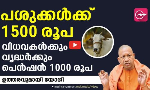 പശുക്കൾക്ക് 1500 രൂപ, വിധവകൾക്കും വൃദ്ധർക്കും പെൻഷൻ 1000 രൂപ... ഉത്തരവുമായി യോഗി