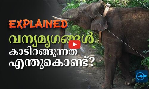 വന്യമൃഗങ്ങൾ കാടിറങ്ങുന്നതെന്തു​കൊണ്ട്?