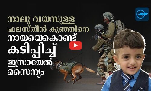 നാലു വയസുള്ള ഫലസ്തീൻ കുഞ്ഞിനെ നായയെകൊണ്ട് കടിപ്പിച്ച് ഇസ്രായേൽ സൈന്യം