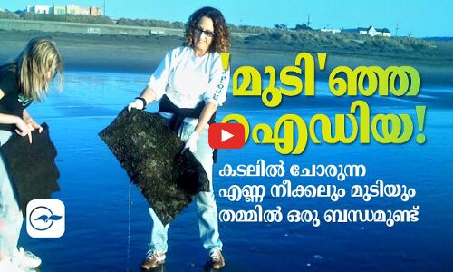 മുടിഞ്ഞ ഐഡിയ!