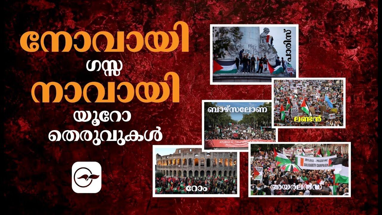 നോവായി ഗ​സ്സ​, നാവായി യൂറോ തെരുവുകൾ