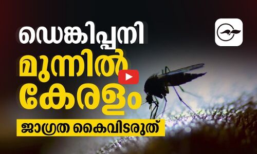 ഡെങ്കിപ്പനി മുന്നിൽ കേരളം ; ജാഗ്രത കൈവിടരുത്