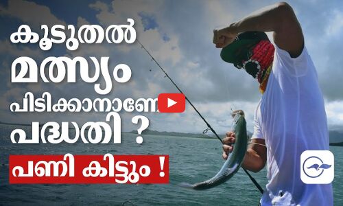 കൂടുതൽ മത്സ്യം   പിടിക്കാനാണോ പദ്ധതി ?  പണി കിട്ടും !