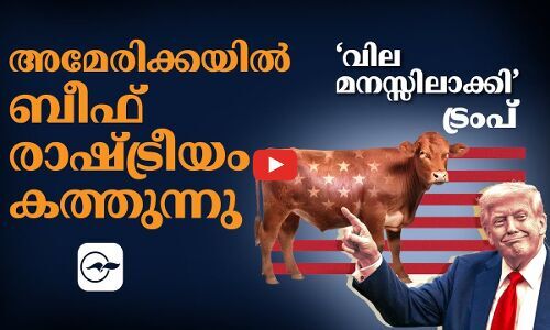 അമേരിക്കയിൽ ബീഫ് രാഷ്ട്രീയം കത്തുന്നു; ‘വില മനസ്സിലാക്കി’ ട്രംപ്