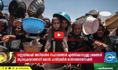 മസ്കത്തിൽനിന്ന് മുംബൈയിലേക്ക് പറന്ന  എയർ ഇന്ത്യ എക്‌സ്പ്രസ് വിമാനത്തിൽ  തായ് യുവതിക്ക് സുഖ പ്രസവം