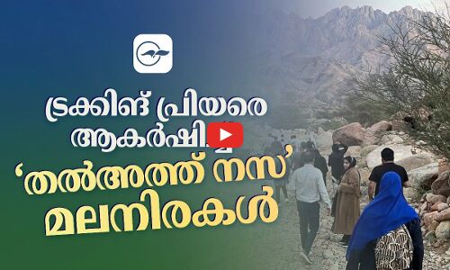 ട്രക്കിങ്​ പ്രിയരെ ആകർഷിച്ച്​​ ‘തൽഅത്ത് നസ’ മലനിരകൾ