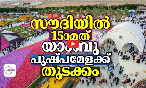 സൗദിയിൽ 15ാമത് യാംബു പുഷ്പമേളക്ക് തുടക്കം