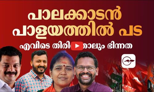 പാലക്കാടൻ പാളയത്തിൽ പട; എവിടെ തിരിഞ്ഞാലും ഭിന്നത
