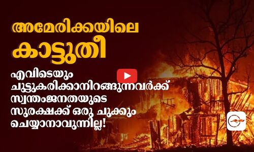 അമേരിക്കയിലെ കാട്ടുതീ