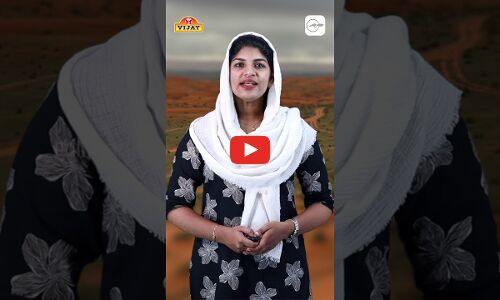 സൗദി മരുഭൂമികൾ പച്ചപുതച്ചു; സഞ്ചാരികളുടെ തിരക്കേറുന്നു