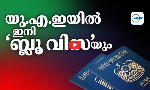 യു.എ.ഇയിൽ ഇനി ‘ബ്ലൂ വിസ’യും