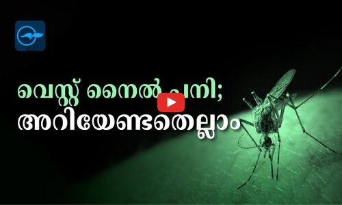 വെസ്റ്റ് നൈൽ പനി;  അറിയേണ്ടതെല്ലാം  ,തയാറാക്കിയത് ഡോ. ദിപിൻ കുമാർ പി.യു