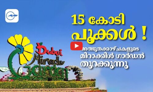 15 കോ​ടി പൂ​ക്കൾ ! അത്ഭുതക്കാഴ്ചകളുടെ മി​റാക്കി​ൾ ഗാ​ർ​ഡ​ൻ തു​റ​ക്കുന്നു