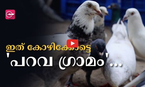 ഇത് കോഴിക്കോട്ടെ പറവ ​ഗ്രാമം...