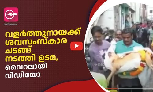 വളർത്തുനായക്ക് ശവസംസ്കാര ചടങ്ങ് നടത്തി ഉടമ, വൈറലായി വിഡിയോ