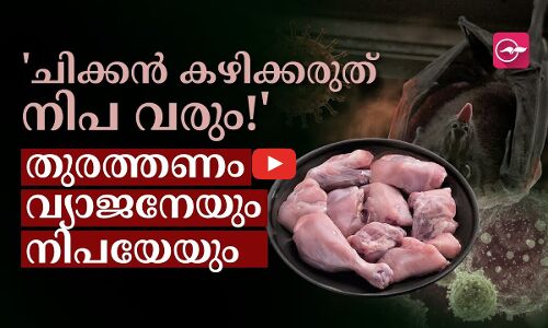 ചിക്കൻ കഴിക്കരുത് നിപ വരും!  തുരത്തണം വ്യാജനേയും നിപയേയും