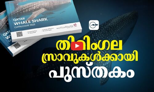 തിമിം​ഗല സ്രാവുകൾക്കായി പുസ്തകം