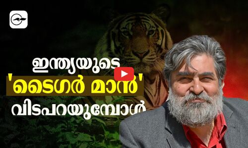 ഇന്ത്യയുടെ ടൈഗർ മാൻ വിടപറയുമ്പോൾ | Valmik Thapar |