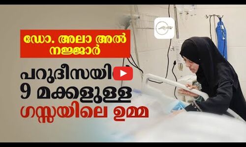 ഡോ.അലാ അല്‍ നജ്ജാർ;പറുദീസയിൽ 9 മക്കളുള്ള ഗസ്സയിലെ ഉമ്മ