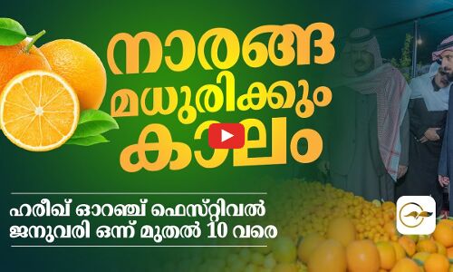 ഇനി നാരങ്ങ മധുരിക്കും കാലം    ഹരീഖ്​ ഓറഞ്ച്​ ഫെസ്​റ്റിവൽ ജനുവരി ഒന്ന്​ മുതൽ 10 വരെ