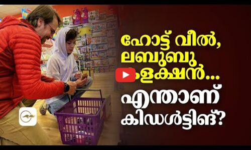 ഹോട്ട് വീൽ, ലബുബു കളക്ഷൻ..എന്താണ് കിഡൾട്ടിങ്?