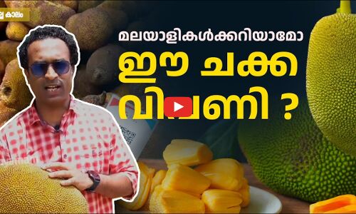 മലയാളികൾക്കറിയാമോ ഈ ചക്ക വിപണി ?