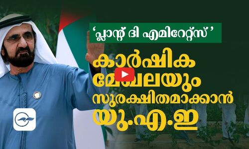 ‘പ്ലാ​ന്‍റ്​ ദി ​എ​മി​റേ​റ്റ്​​സ്​’;കാ​ർ​ഷി​ക മേഖലയും സുരക്ഷിതമാക്കാൻ  യു.​എ.​ഇ