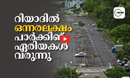 റിയാദിൽ ഒന്നരലക്ഷം പാർക്കിങ് ഏരിയകൾ വരുന്നു