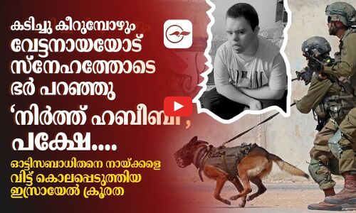 ഓട്ടിസബാധിതനെ നായ്ക്കളെ വിട്ട് കൊലപ്പെടുത്തിയ ഇസ്രായേൽ ക്രൂരത