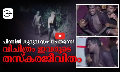 പിന്നിൽ കുറുവ സംഘം തന്നെ!, വിചിത്രം ഇവരുടെ തസ്കര ജീവിതം