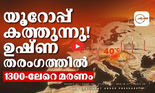 യൂറോപ്പ് കത്തുന്നു! ഉഷ്ണതരംഗത്തിൽ 1300-ലേറെ മരണം | Heatwave impact in Europe