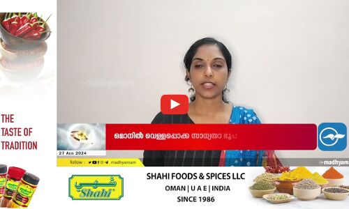 ഹൈമയിൽ ട്രെക്കിന് തീപിടിച്ചു; നാലുപേർ മരിച്ചു