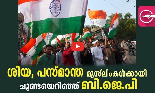 ശിയ, പസ്മാന്ത മുസ്‍ലിംകൾക്കായി ചൂണ്ടയെറിഞ്ഞ് ബി.ജെ.പി