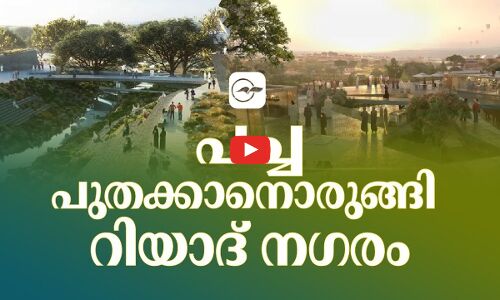 പച്ചപുതക്കാനൊരുങ്ങി റിയാദ് നഗരം